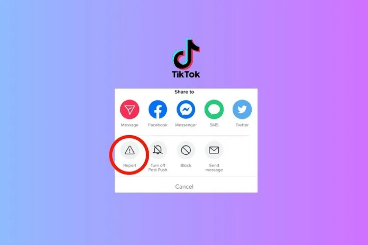 Làm cách nào để biết video của bạn có bị TikTok report không để kịp thời khắc phục?