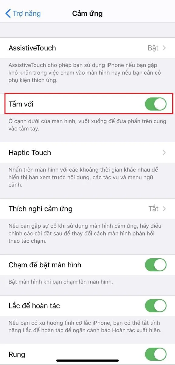 Làm sao để sử dụng 1 tay dễ dàng trên iPhone 11, iPhone 11 Pro