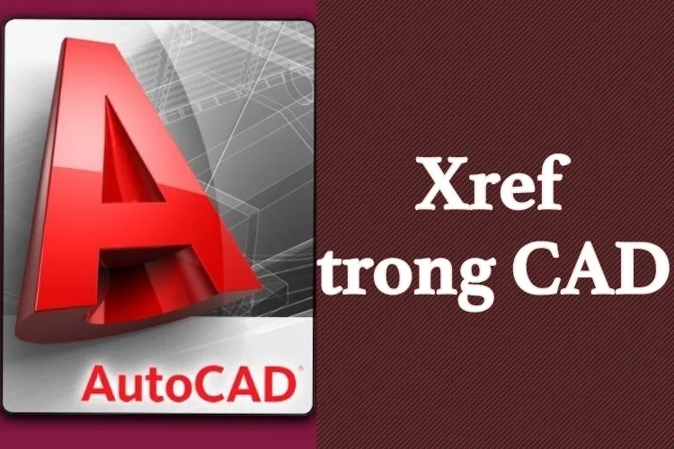 Lệnh Xref trong CAD là gì? Hướng dẫn sử dụng lệnh Xref cho dân thiết kế