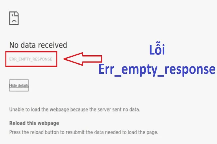 Lỗi Err_empty_response là gì? Chia sẻ nguyên nhân và cách khắc phục đơn giản, nhanh chóng