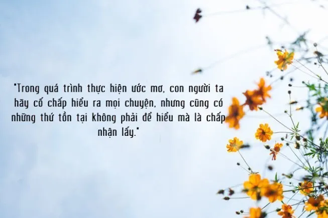 Lưu lại những câu nói hay về ước mơ để tăng động lực học tập, làm việc và nỗ lực hết mình