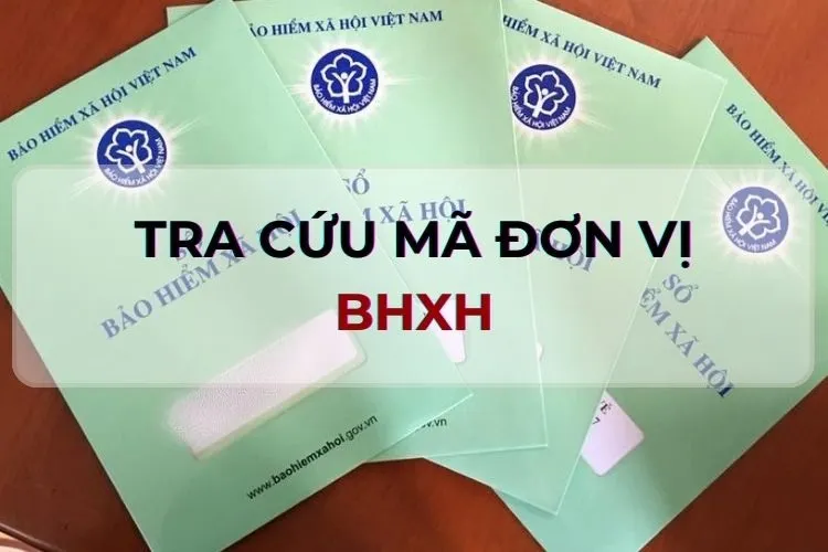 Mách bạn cách tra cứu mã đơn vị BHXH trực tuyến siêu đơn giản và nhanh chóng