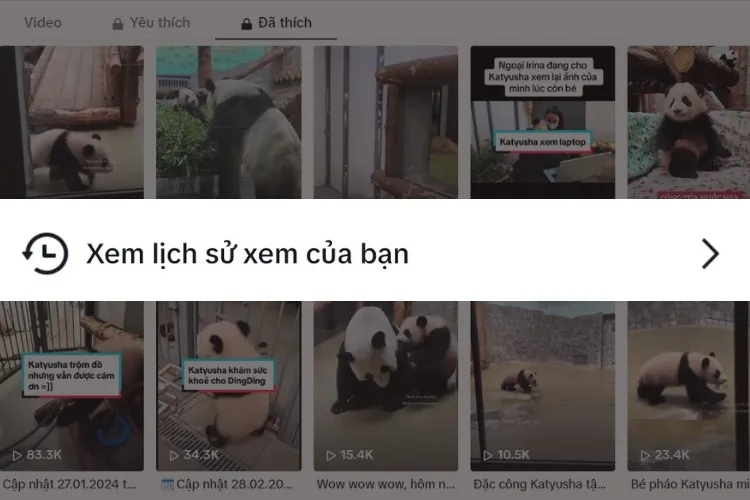 Mách bạn cách xem lịch sử TikTok trên điện thoại và máy tính siêu đơn giản mà có thể bạn chưa biết