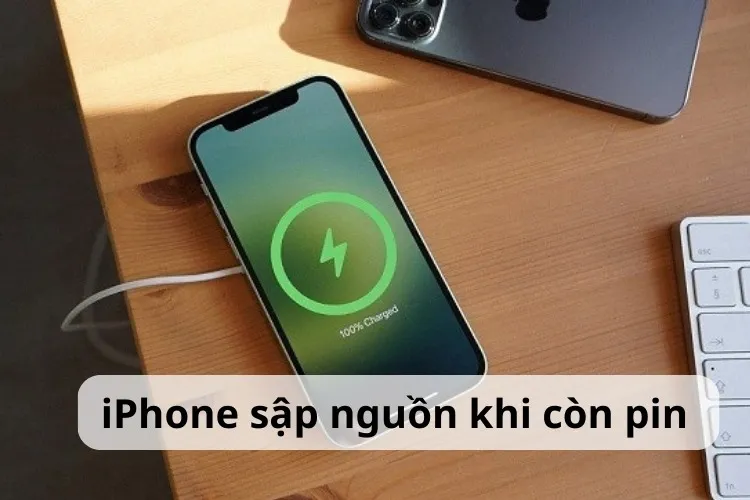 Nguyên nhân iPhone sập nguồn khi còn pin là gì? Cách khắc phục tình trạng hiệu quả