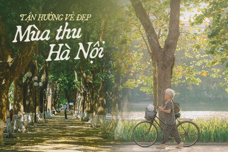 Những câu nói hay về tháng 9, STT tháng 9 ý nghĩa, yêu thương dành cho bạn