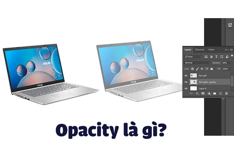 Opacity là gì? Cách chỉnh độ opacity trong Photoshop đơn giản