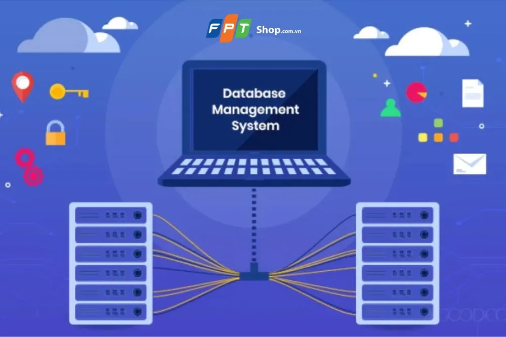 Phần mềm quản lý cơ sở dữ liệu là gì? Các tính năng chính và ưu điểm