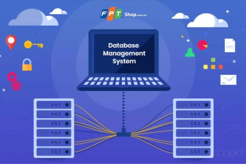 Phần mềm quản lý cơ sở dữ liệu là gì? Các tính năng chính và ưu điểm