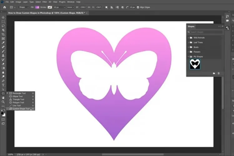 Photoshop Shape là gì? Có bao nhiêu loại Photoshop Shape?