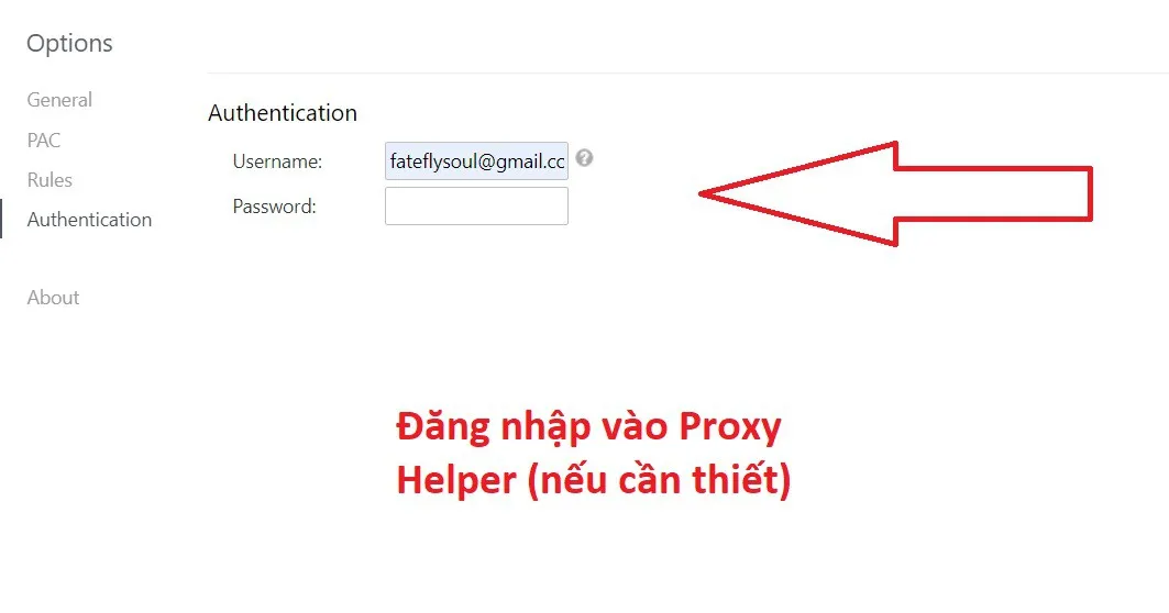 Proxy Helper là gì? Tìm hiểu về giải pháp tối ưu cho trải nghiệm Internet bảo mật và an toàn