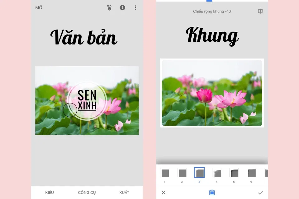 Snapseed là gì? Hướng dẫn sử dụng Snapseed trên điện thoại đầy đủ và chi tiết nhất