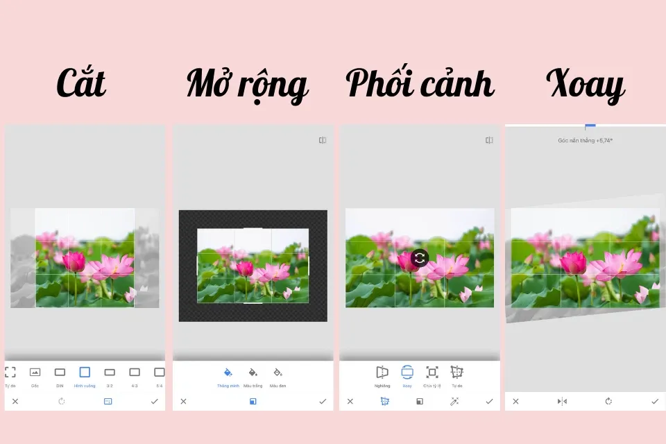 Snapseed là gì? Hướng dẫn sử dụng Snapseed trên điện thoại đầy đủ và chi tiết nhất