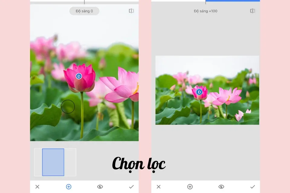 Snapseed là gì? Hướng dẫn sử dụng Snapseed trên điện thoại đầy đủ và chi tiết nhất