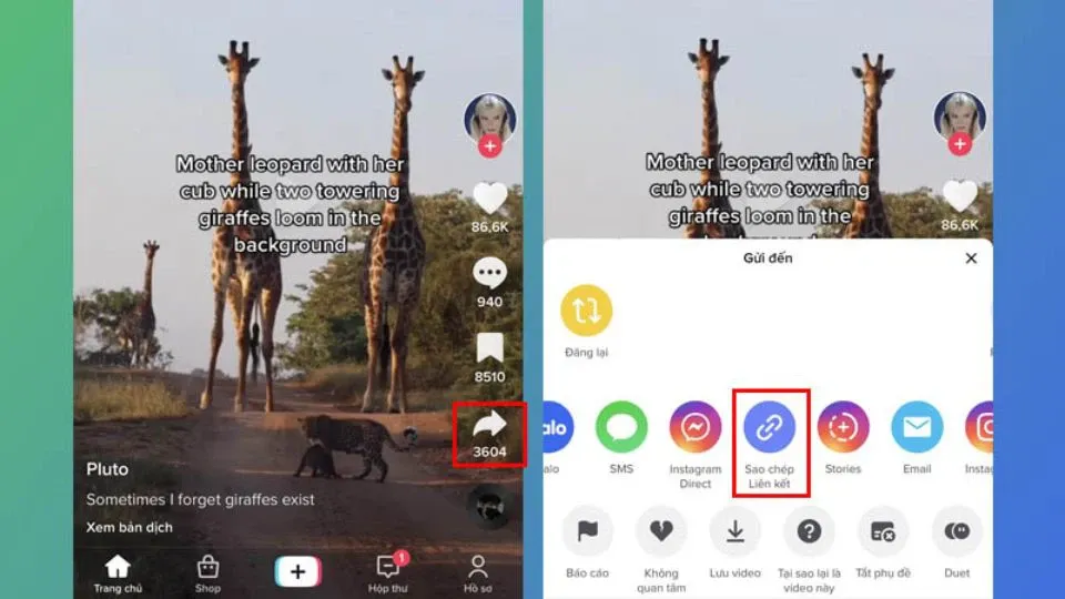 SnapTik là gì? Cách sử dụng SnapTik để tải video Tiktok không logo miễn phí, đơn giản