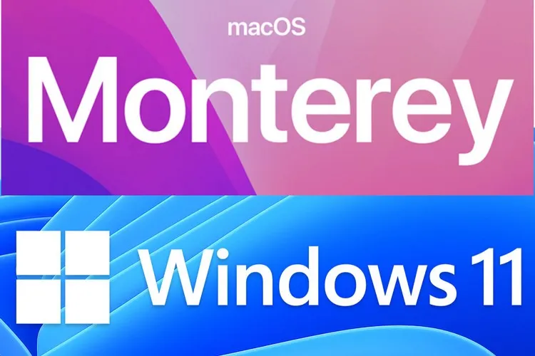 So sánh Windows 11 so với MacOS: Khác biệt đến từ đâu?