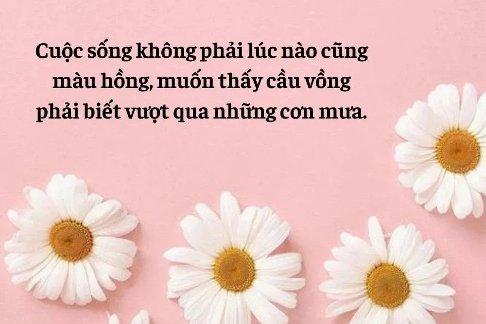 STT màu hồng dễ thương, mộng mơ giúp bạn có nhiều cảm xúc tích cực trong cuộc sống