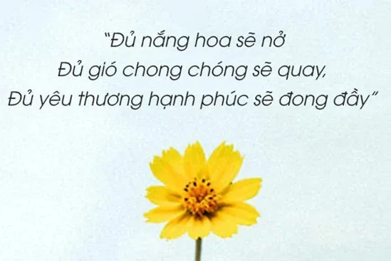 STT nắng, caption hay, câu nói hay nhất về nắng trong tình yêu và cuộc sống