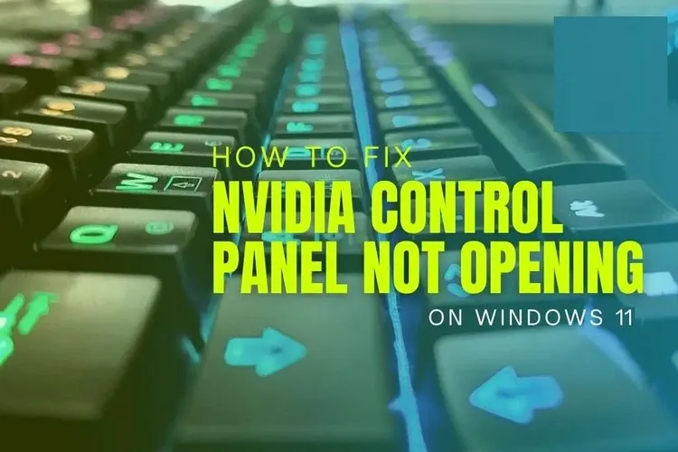 Sửa lỗi NVIDIA Control Panel không mở trên Windows 11