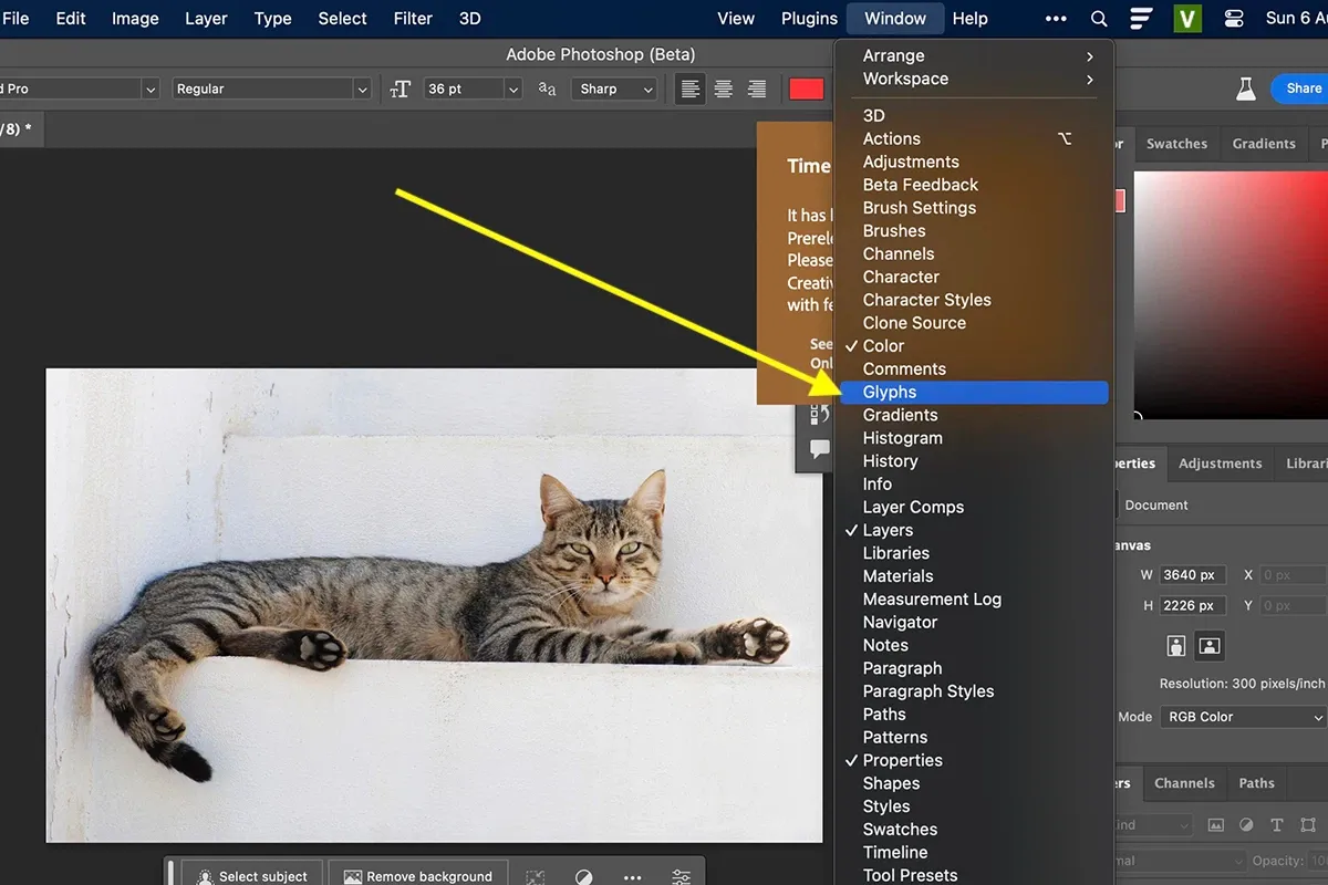 Symbol là gì? Cách chèn ký tự đặc biệt trong Photoshop nhanh chóng!