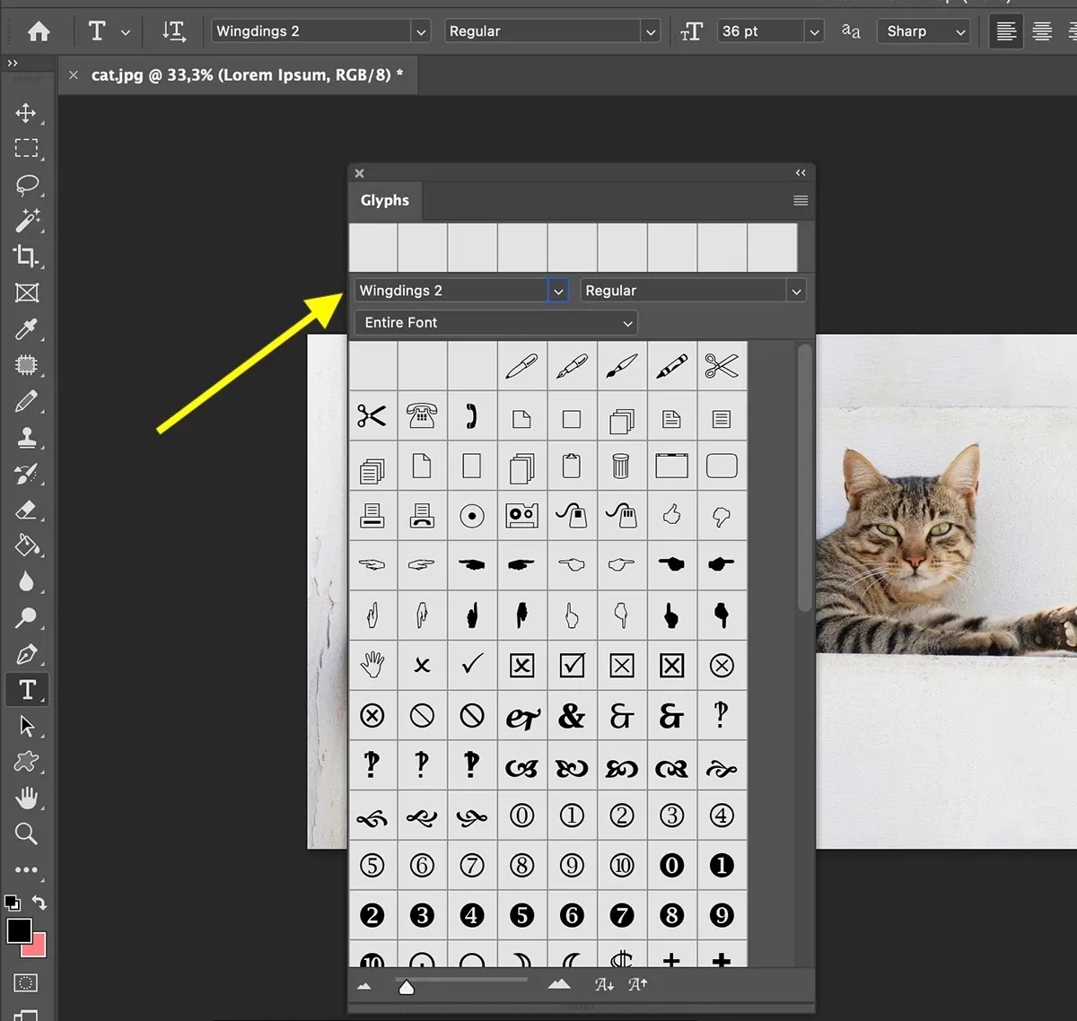 Symbol là gì? Cách chèn ký tự đặc biệt trong Photoshop nhanh chóng!