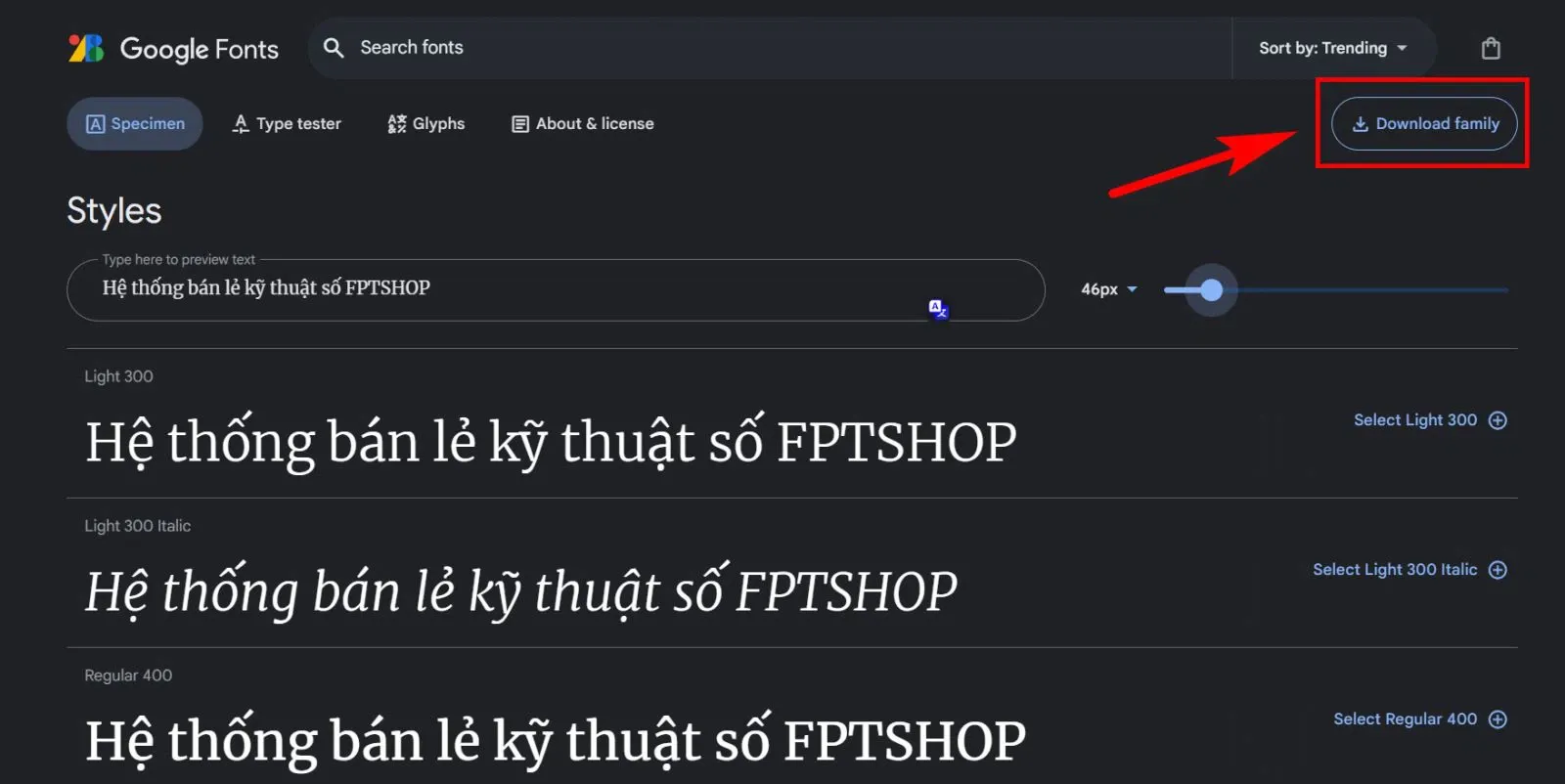 Tải bộ Google fonts tiếng Việt đa dụng, phổ biến dành cho tất cả người dùng