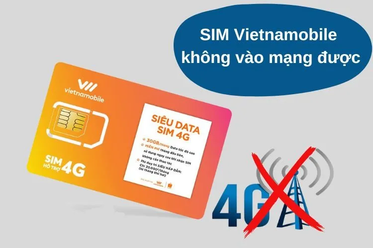 Tại sao SIM Vietnamobile không vào mạng được?