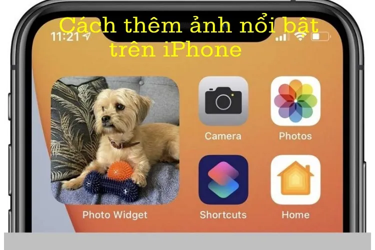 Tham khảo các cách tự chọn thêm ảnh nổi bật trên iPhone