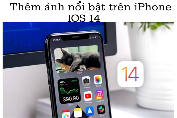 Tham khảo các cách tự chọn thêm ảnh nổi bật trên iPhone