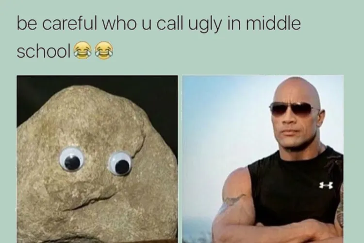 The rock meme là gì? Top những meme về The Rock hài hước, vui nhộn và thú vị nhất