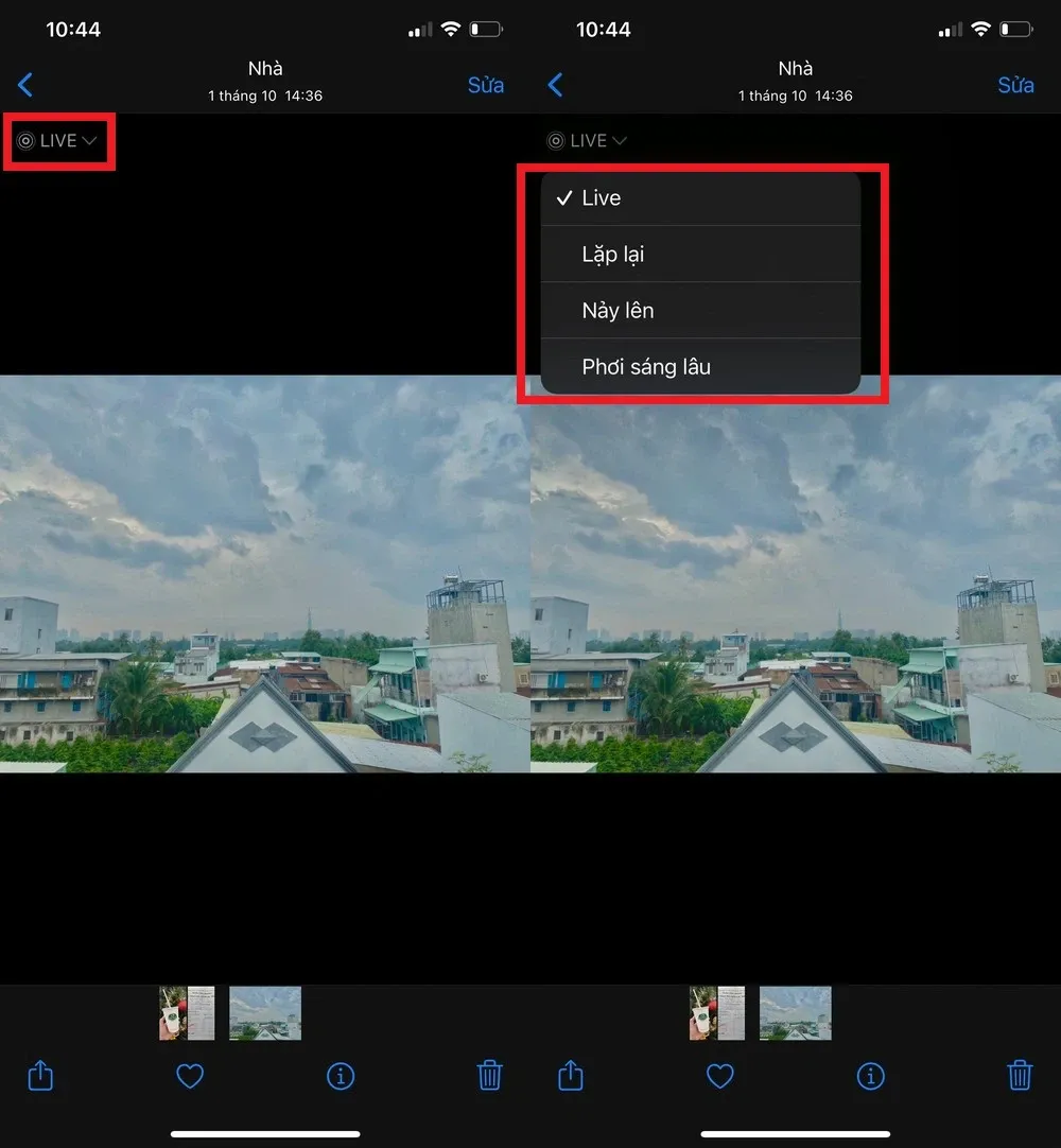 Thử ngay cách đổi hiệu ứng Live Photo trên iPhone có thể bạn chưa biết