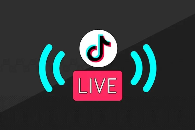 TikTok live là gì? Hướng dẫn chi tiết cách live trên TikTok khi chưa đủ điều kiện