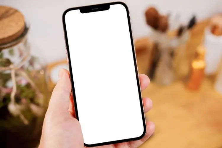 Tìm hiểu nguyên nhân iPhone bị trắng màn hình và thử ngay 4 cách khắc phục đơn giản