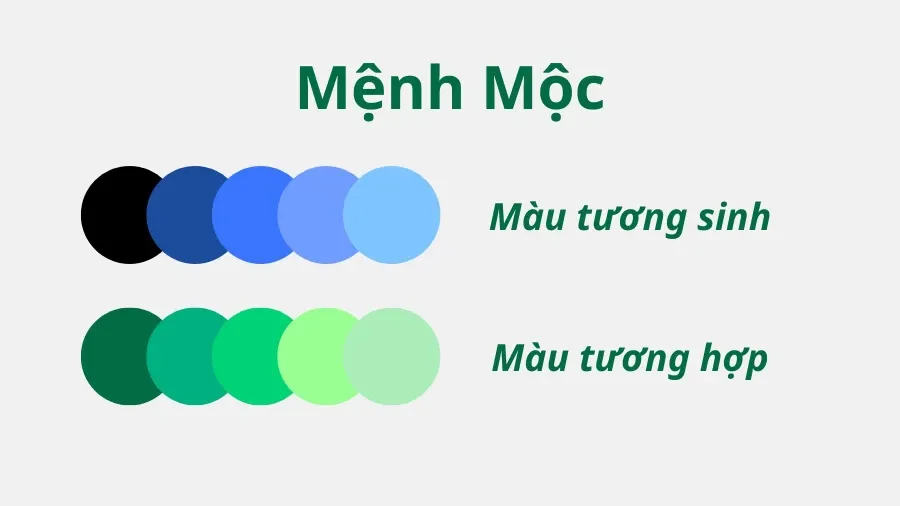 Tổng hợp 60 hình nền may mắn cho mệnh Mộc để chiêu tài lộc, vượng sự nghiệp