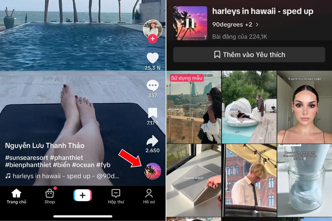 Tổng hợp cách tìm video trên TikTok cực đơn giản, tìm video trending nhất trên TikTok