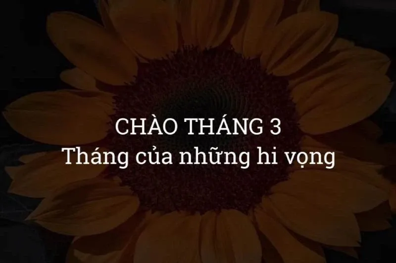 Tổng hợp STT tháng 3 ngắn gọn, thú vị, ý nghĩa đăng caption Facebook hay ho nhất