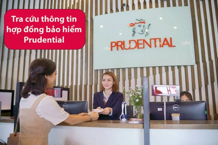 Tra cứu thông tin hợp đồng bảo hiểm Prudential như thế nào? 05 Cách tra cứu chính xác nhất