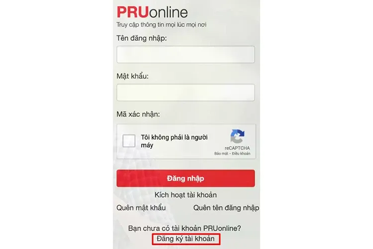 Tra cứu thông tin hợp đồng bảo hiểm Prudential như thế nào? 05 Cách tra cứu chính xác nhất