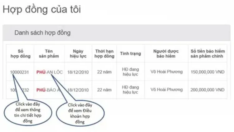 Tra cứu thông tin hợp đồng bảo hiểm Prudential như thế nào? 05 Cách tra cứu chính xác nhất