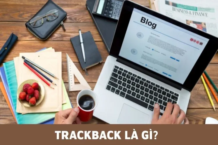 Trackback là gì? Cách sử dụng Trackback trên website WordPress