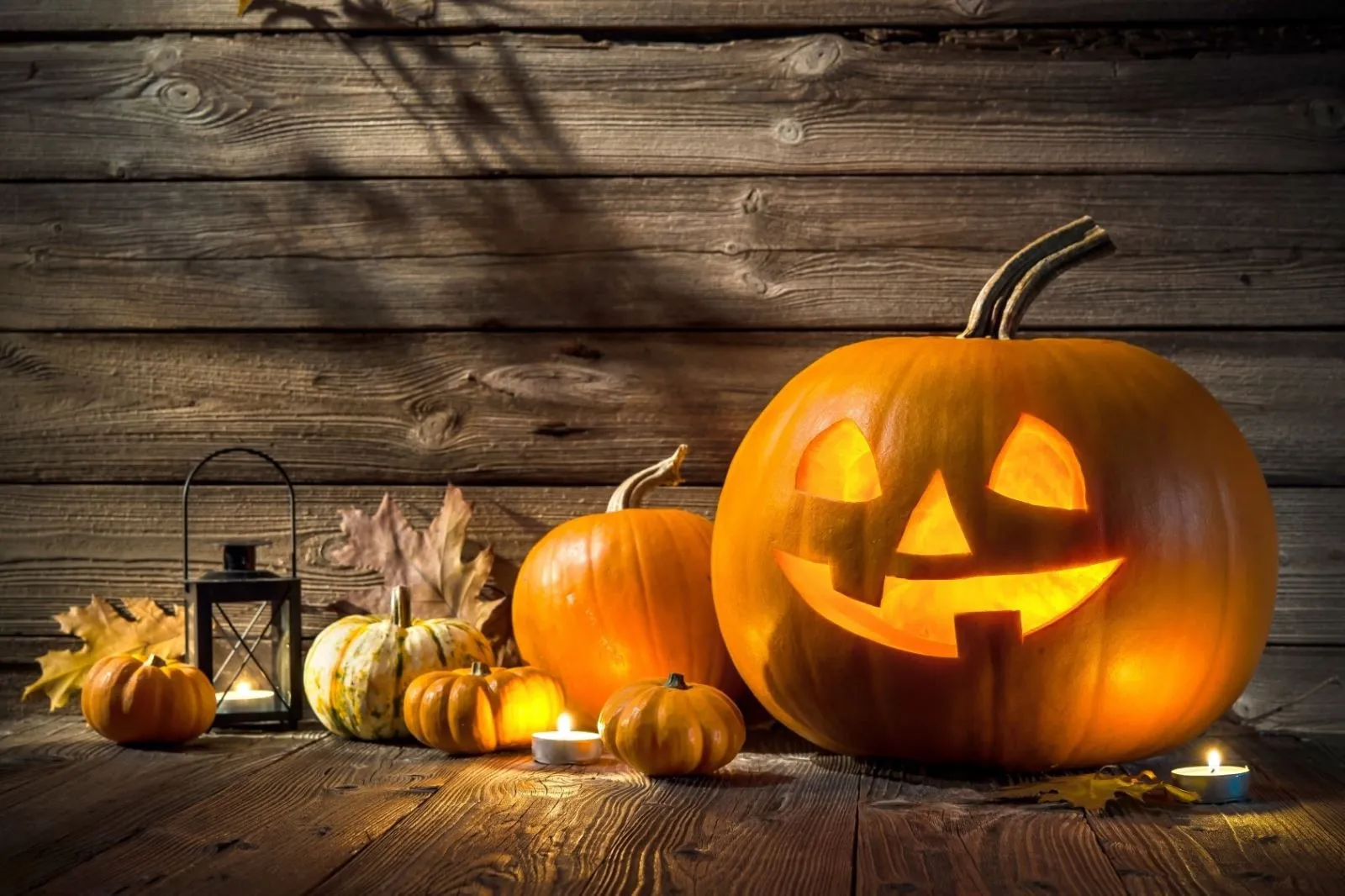 Tuyển tập STT Halloween hấp dẫn, độc đáo và ấn tượng thu hút nghìn like từ bạn bè