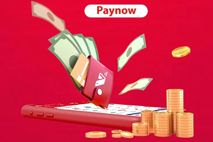 Ví trả sau Paynow là gì? Hướng dẫn cách đăng ký và thanh toán bằng ví trả sau Paynow