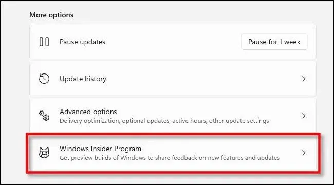 Windows 11 Dev là gì? Cách chuyển Dev Channel và Beta Channel