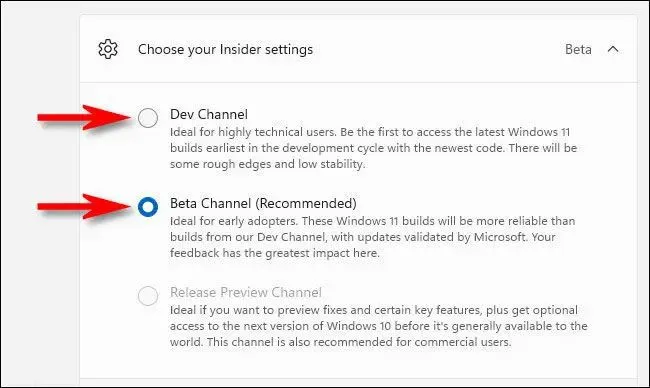 Windows 11 Dev là gì? Cách chuyển Dev Channel và Beta Channel